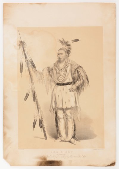 Joc-o-sot, o Urso Andante de George Catlin