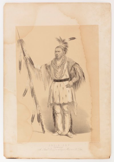 Joc-o-sot, o Urso Andante de George Catlin