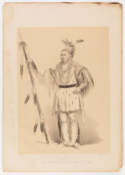 Joc-o-sot, o Urso Andante de George Catlin