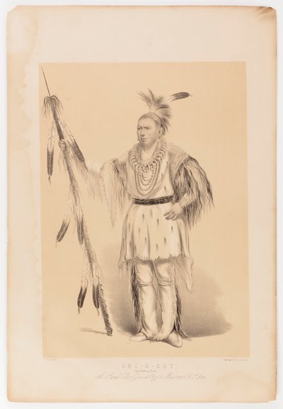 Joc-o-sot, o Urso Andante de George Catlin