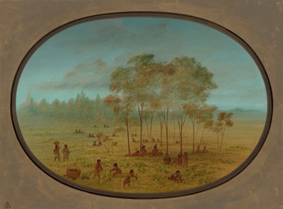 Índios Kiowa Colhendo Uvas Silvestres, 18611869. de George Catlin