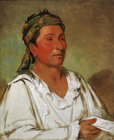 Lay-lóo-ah-pee-ái-shee-kaw, Erva, Arbusto e Flor, Semicivilizado de George Catlin