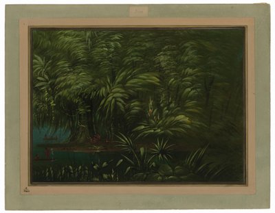 Floresta luxuriante na margem do Amazonas de George Catlin