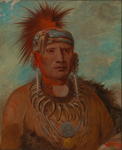 Floresta. de George Catlin