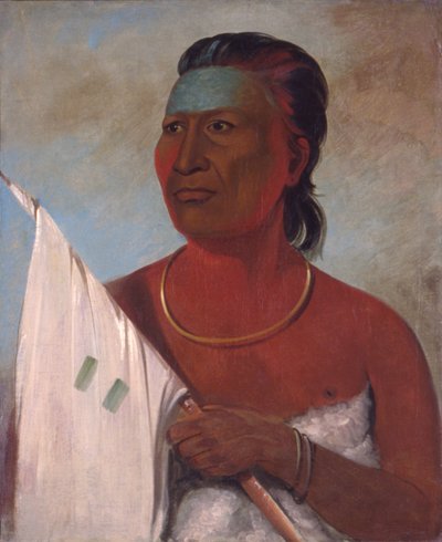 Floresta. de George Catlin