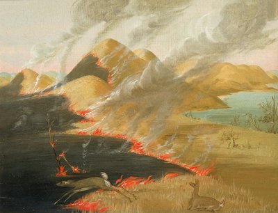 Queimada de Prairie Bluffs de George Catlin