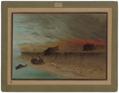 Prairie Meadows queimando de George Catlin