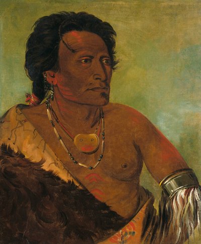 Sky-se-ró-ka, segundo chefe da tribo de George Catlin
