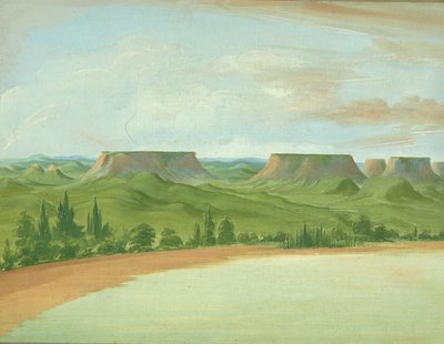 Floresta. de George Catlin