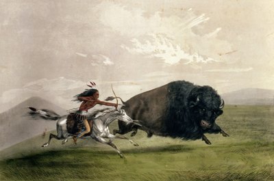 O Buffalo Chase "Singling Out", pub. por Currier e Ives de George Catlin