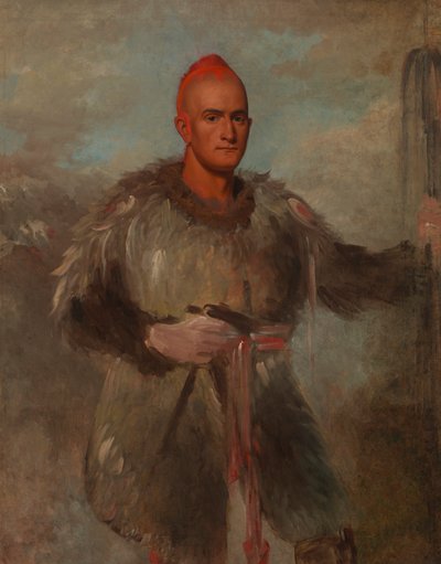 Floresta. de George Catlin