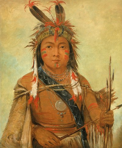 Floresta. de George Catlin