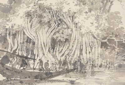 Uma árvore pipulífera de George Chinnery