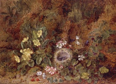 Natureza Morta com Ninho de Ave e Flores Selvagens de George Clare