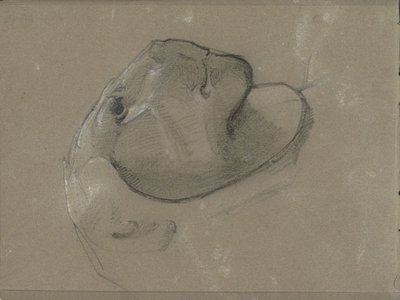Cabeça de leão, presumivelmente depois de uma escultura de George Clausen