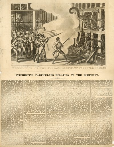 Destruição do elefante furioso em Exeter Change de George Cruikshank