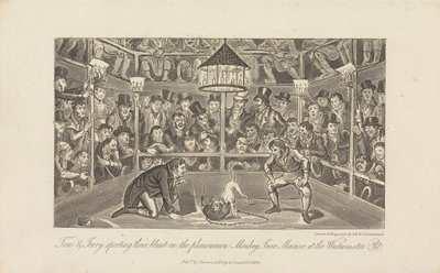 Tom & Jerry com a sua contundência... de George Cruikshank