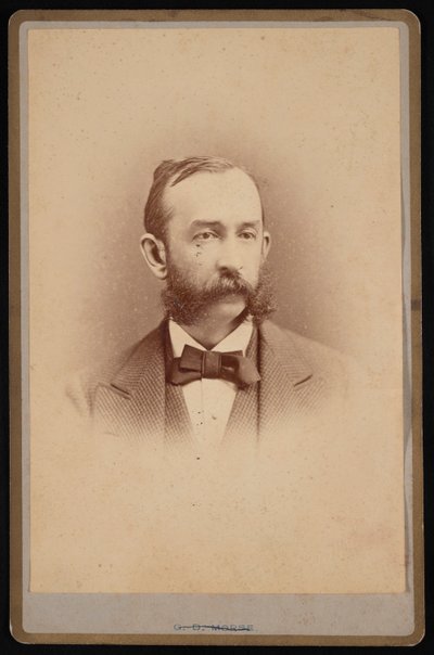 Retrato de Daniel Coit Gilman 1831-1908, cerca de 1875. de George Daniels Morse
