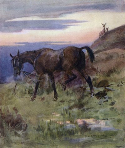 Ilustração para The Story of a Red Deer (lito colorido) de George Denholm Armour