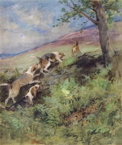 Ilustração para The Story of a Red Deer (lito colorido) de George Denholm Armour