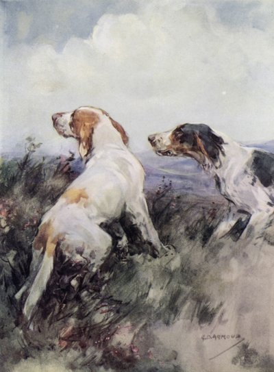 Setters (lito colorido) de George Denholm Armour