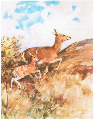 Tawny virou-se e fugiu, incitando o Rusty a segui-la (cor litho) de George Denholm Armour