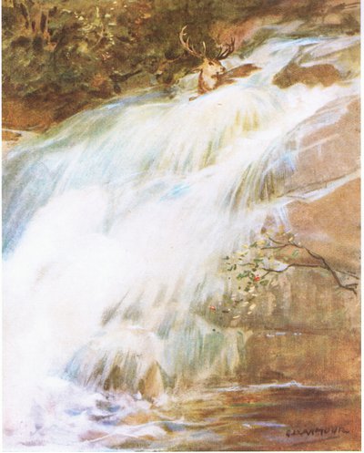 Jogando a cabeça para o alto em um último ato de desafio, ele mergulhou na cachoeira (lito colorido) de George Denholm Armour