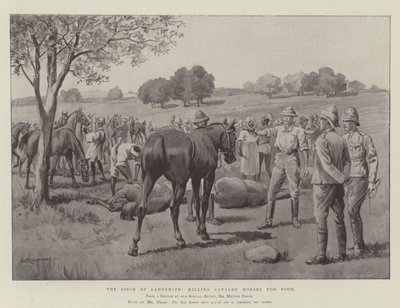 O Cerco de Ladysmith, matando Cavalos de Cavalaria por Comida de George Derville Rowlandson