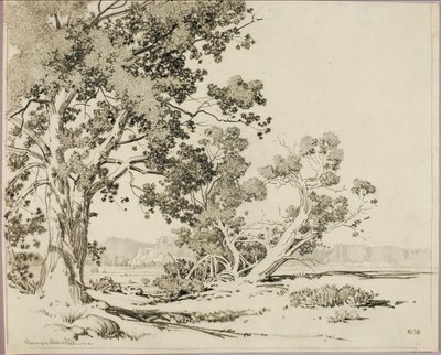  de George Elbert Burr