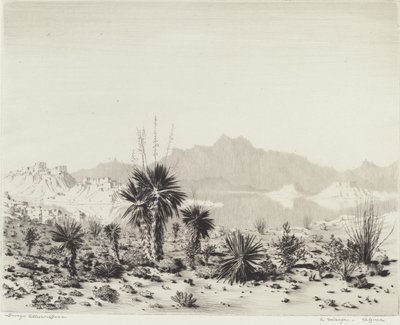Uma Miragem, Arizona de George Elbert Burr