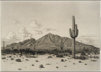Montanha Camelback, Phoenix de George Elbert Burr