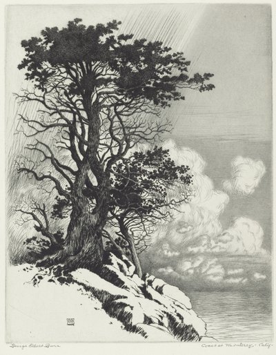 Costa em Monterey, Califórnia de George Elbert Burr