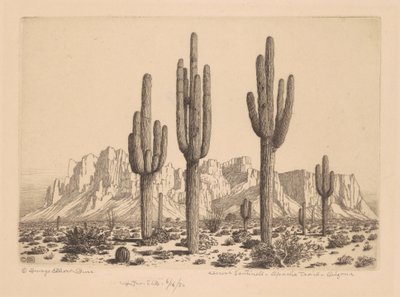 Sentinelas do Deserto, Apache Trail, Arizona de George Elbert Burr