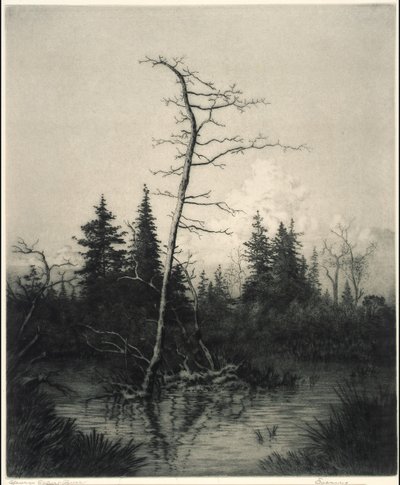 Noite de George Elbert Burr