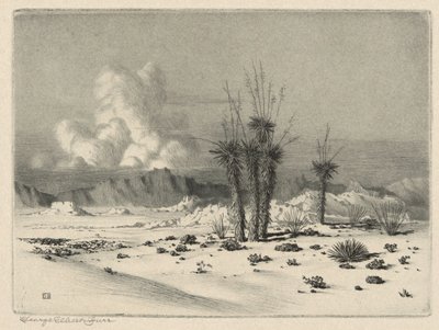 Noite, Arizona de George Elbert Burr