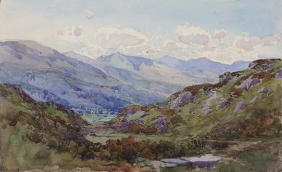 De cima Pont-y-Pant, 1899. de George Elbert Burr