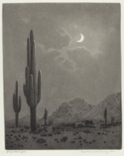 Lua Nova e Estrela da Noite de George Elbert Burr