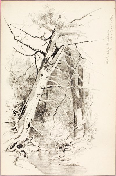 Oak Cliff, Dallas de George Elbert Burr