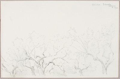 Azeitonas--Fiesole de George Elbert Burr