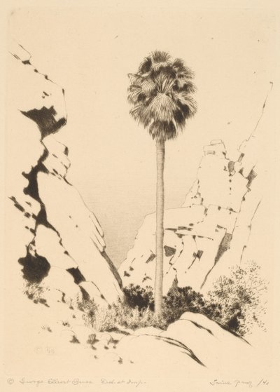 Palm Canyon (nº 1) de George Elbert Burr