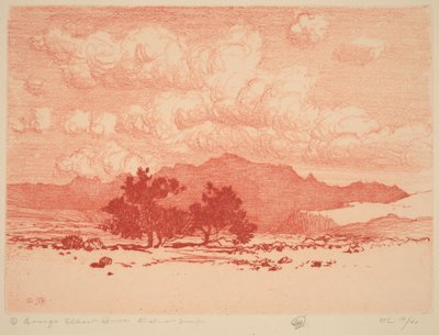 Árvores palo verde de George Elbert Burr