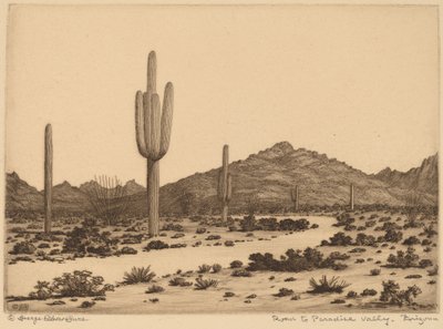 Estrada para Paradise Valley, Arizona de George Elbert Burr