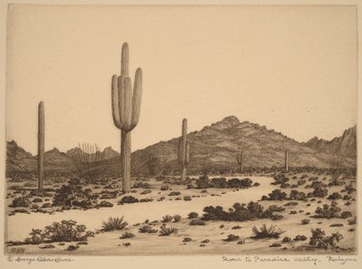Estrada para Paradise Valley, Arizona de George Elbert Burr