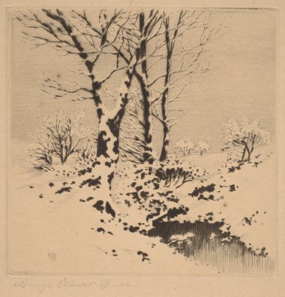 Neve de George Elbert Burr