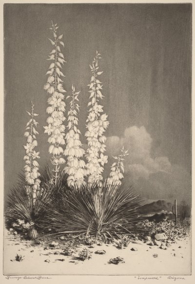  de George Elbert Burr