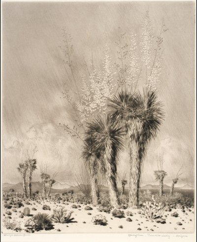 Primavera, Paradise Valley, Arizona de George Elbert Burr