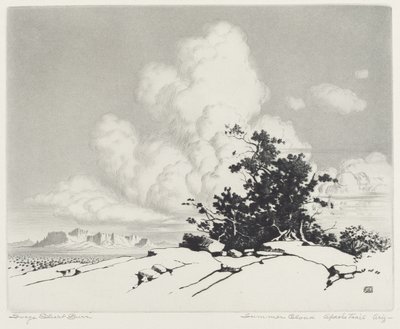 Nuvem de verão, Apache Trail, Arizona de George Elbert Burr