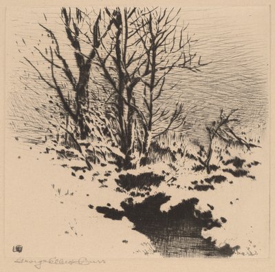 A Primeira Neve (nº 2) de George Elbert Burr