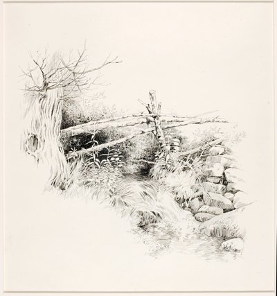Sem título (Córrego do Bosque) de George Elbert Burr