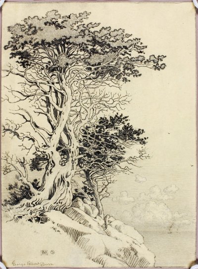 Sem título (desenho para impressão) de George Elbert Burr